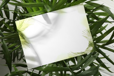 Photo of Blank invitation card and green leaves on white background, top view. Space for text