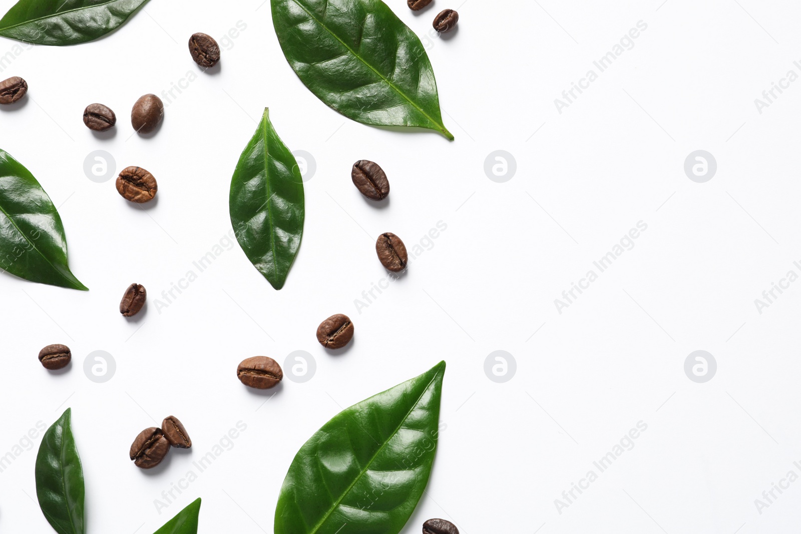 Photo of Fresh green coffee leaves and beans on white background, top view