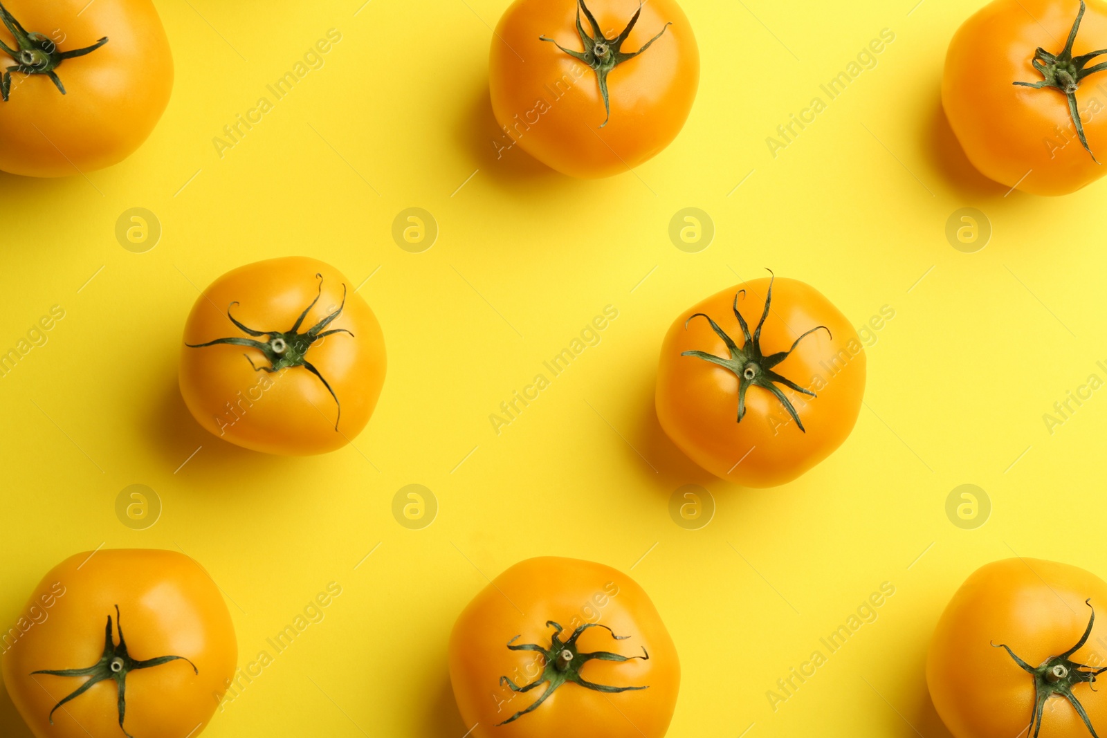 Photo of Yellow tomatoes on color background, flat lay