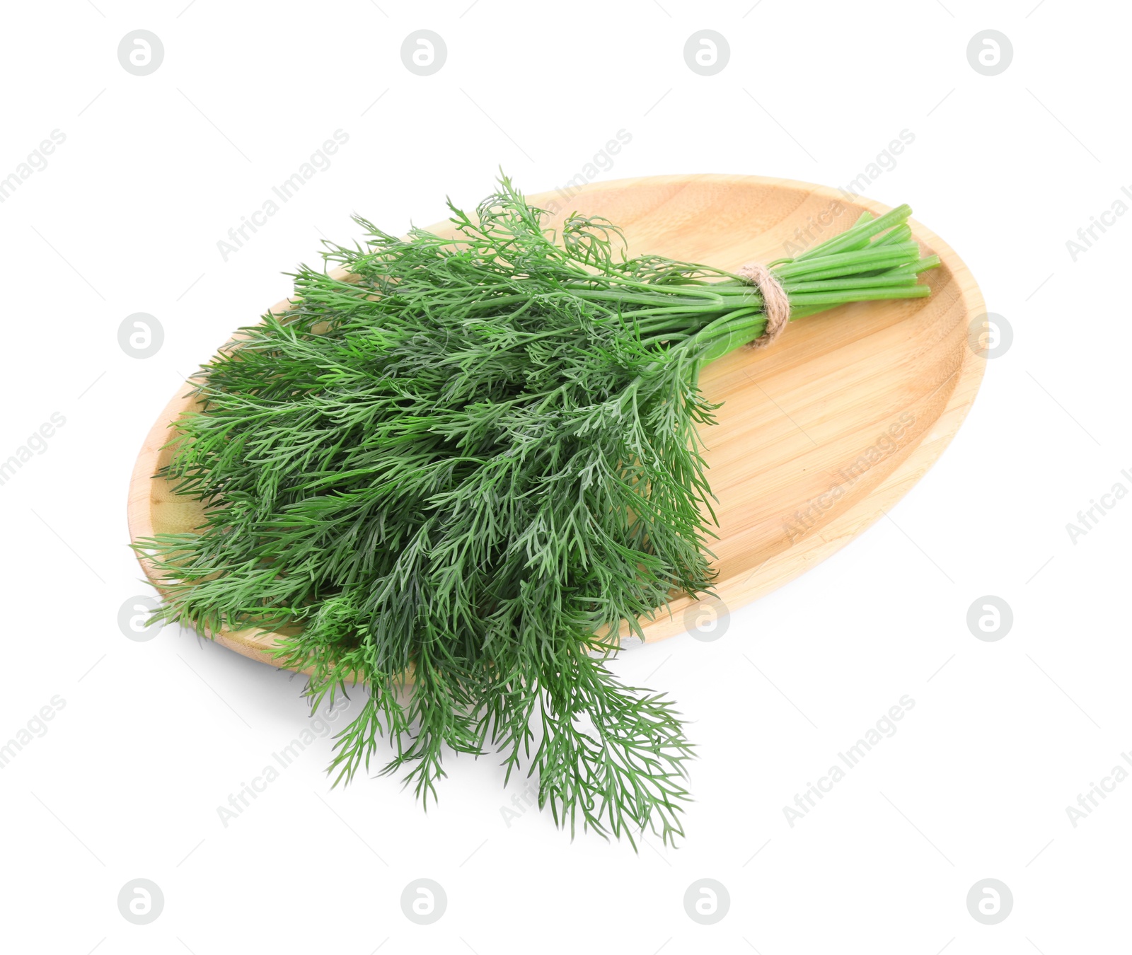 Photo of Bunch of fresh green dill isolated on white