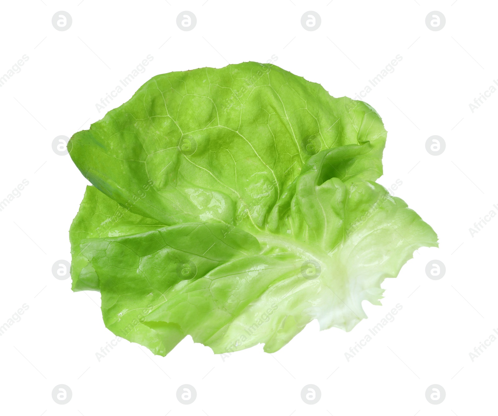 Photo of Fresh leaf of green butter lettuce isolated on white