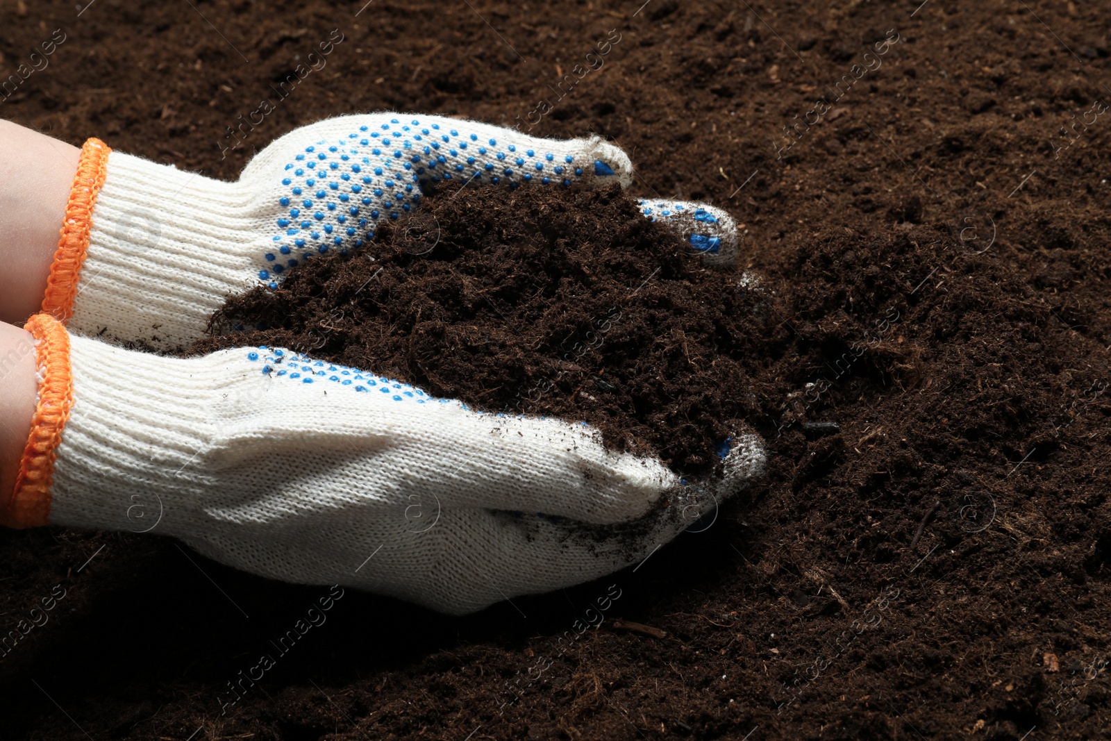 Photo of Woman holding fertile soil in hands, closeup. Gardening season