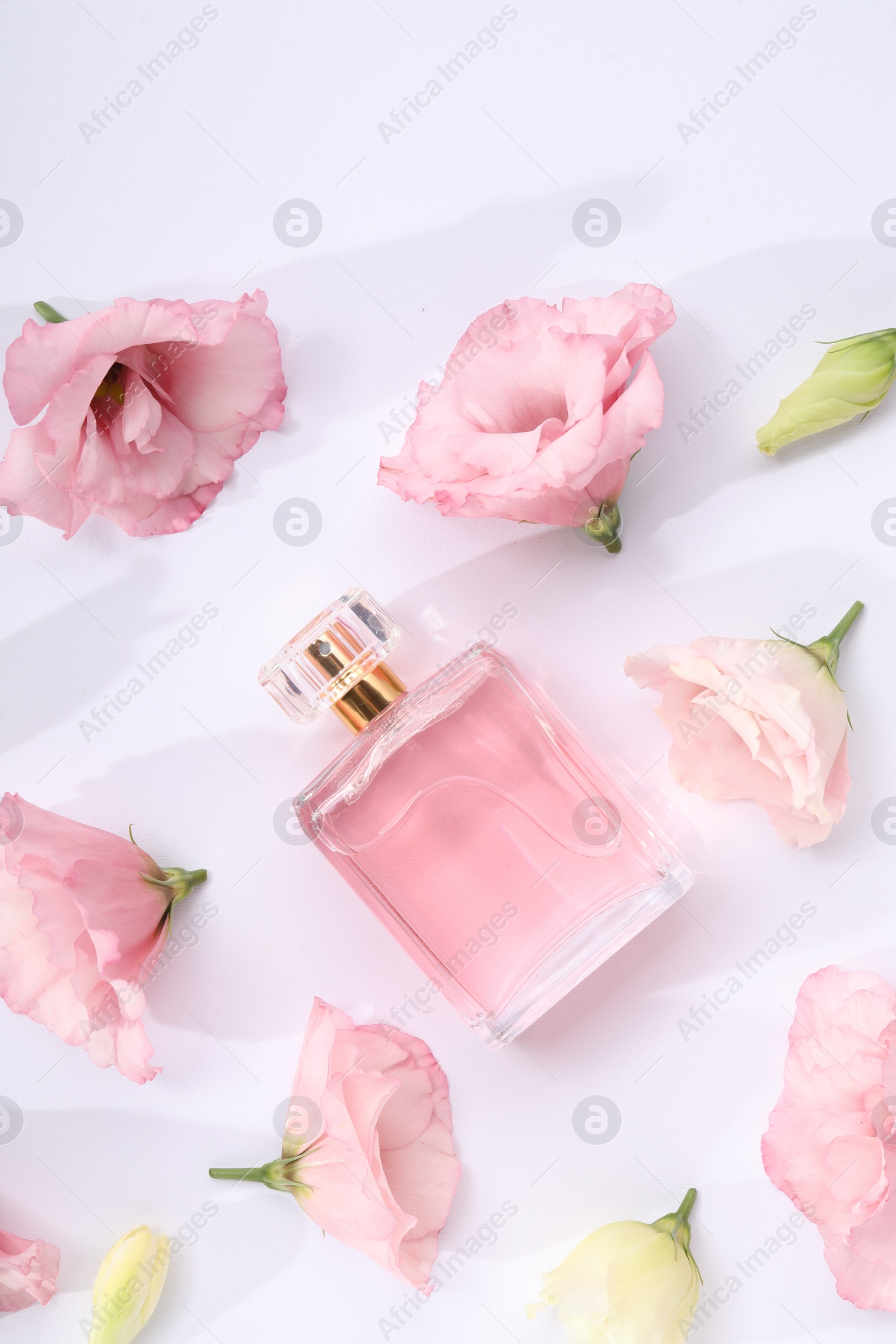 Photo of Luxury perfume and floral decor on white background, flat lay