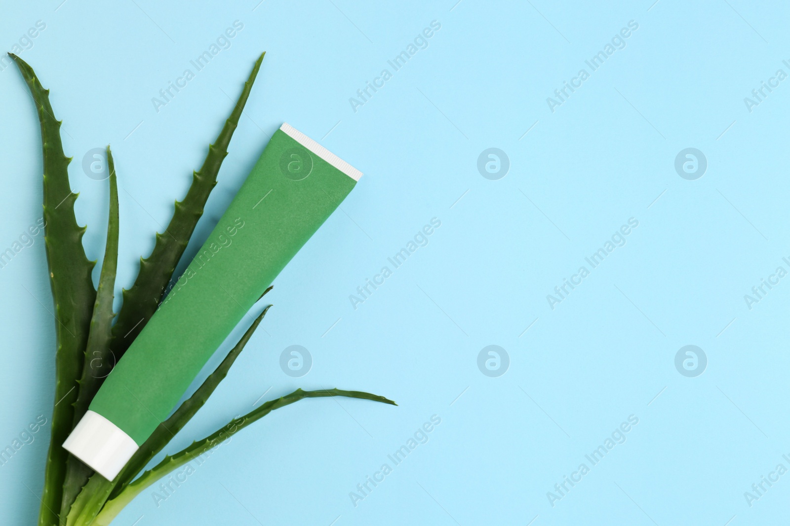 Photo of Tube of toothpaste and fresh aloe on light blue background, flat lay. Space for text