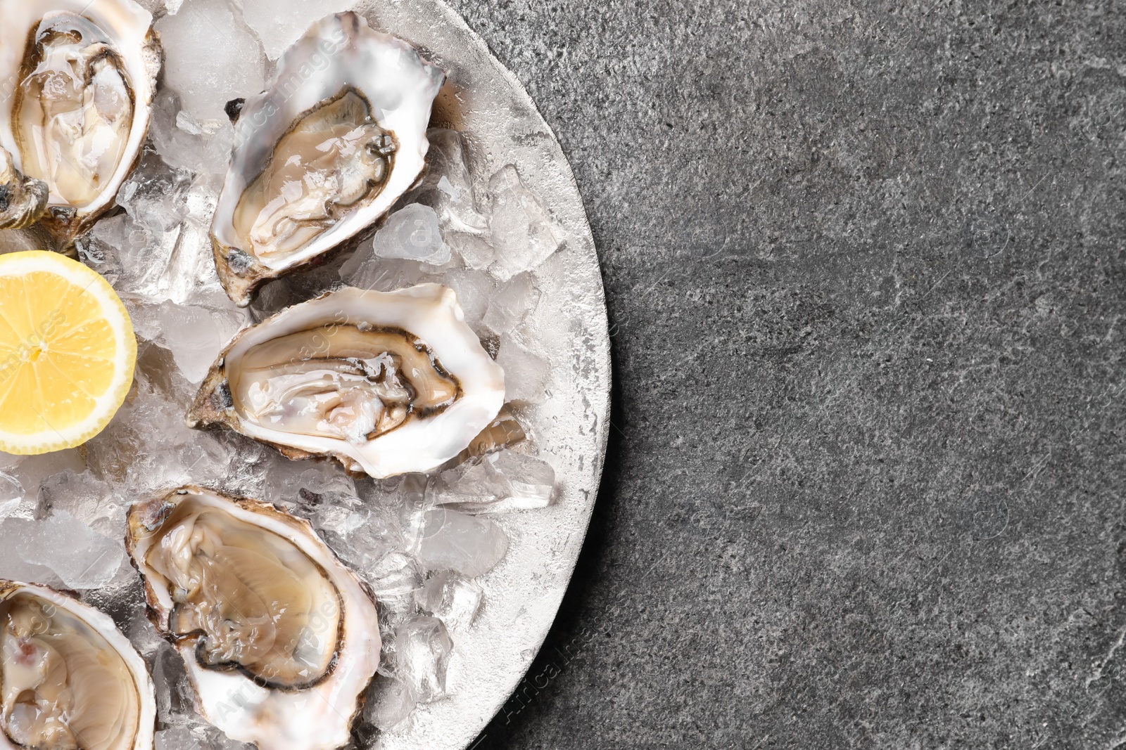 Photo of Delicious fresh oysters with lemon on grey table, top view