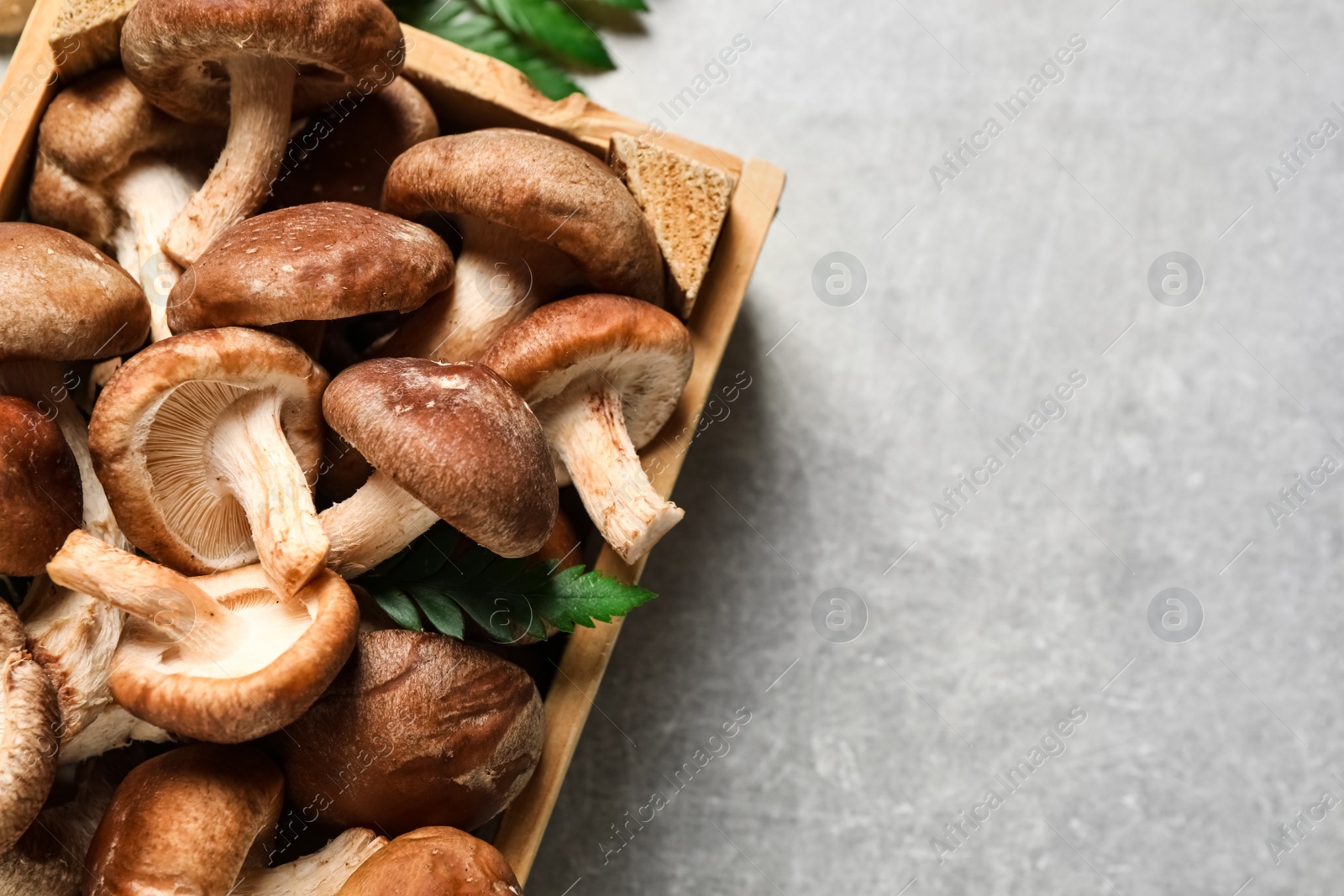 Photo of Fresh shiitake mushrooms on light table, flat lay. Space for text