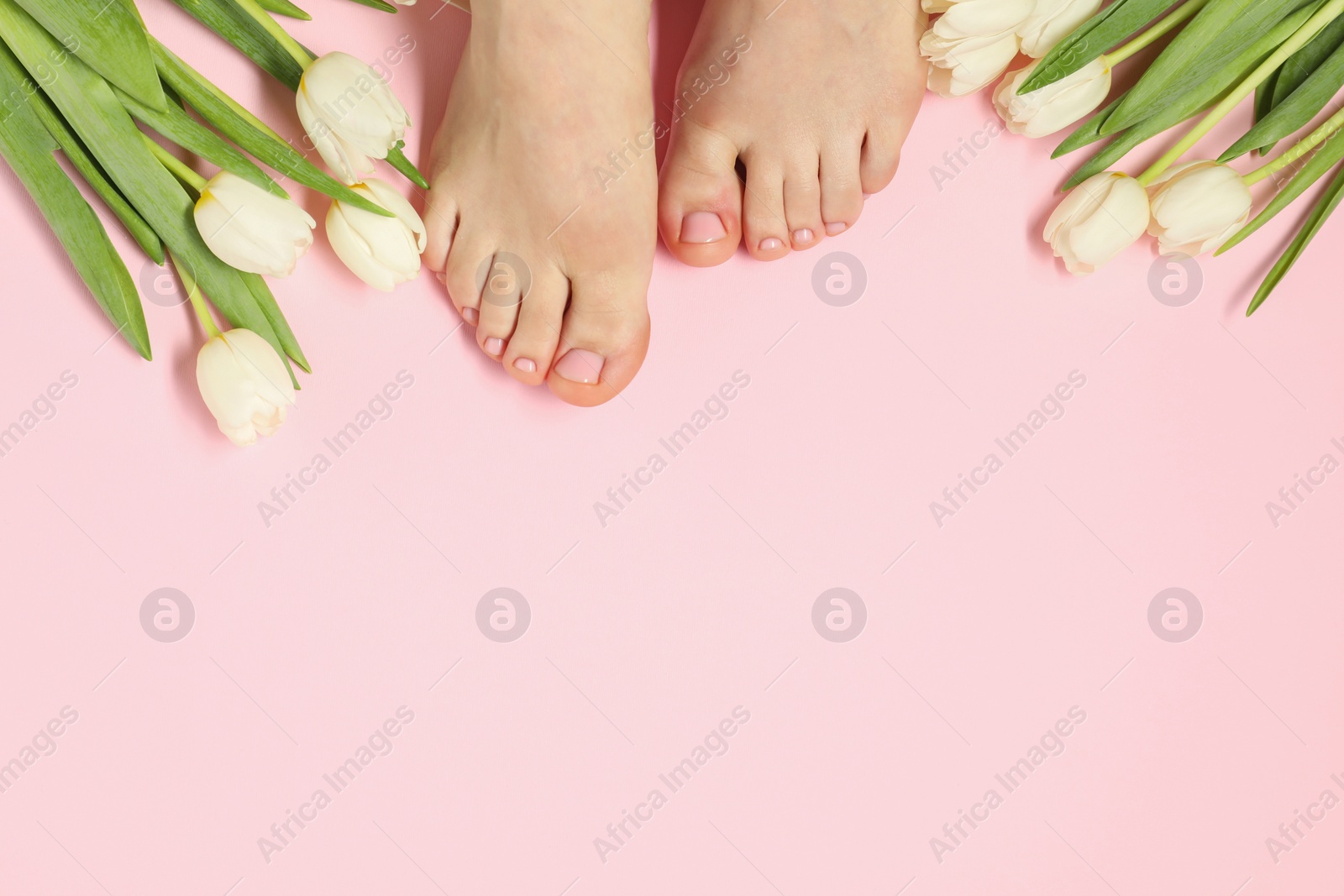 Photo of Closeup of woman with neat toenails after pedicure procedure on pink background, top view. Space for text