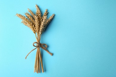 Photo of Bunch of wheat on light blue background, top view. Space for text