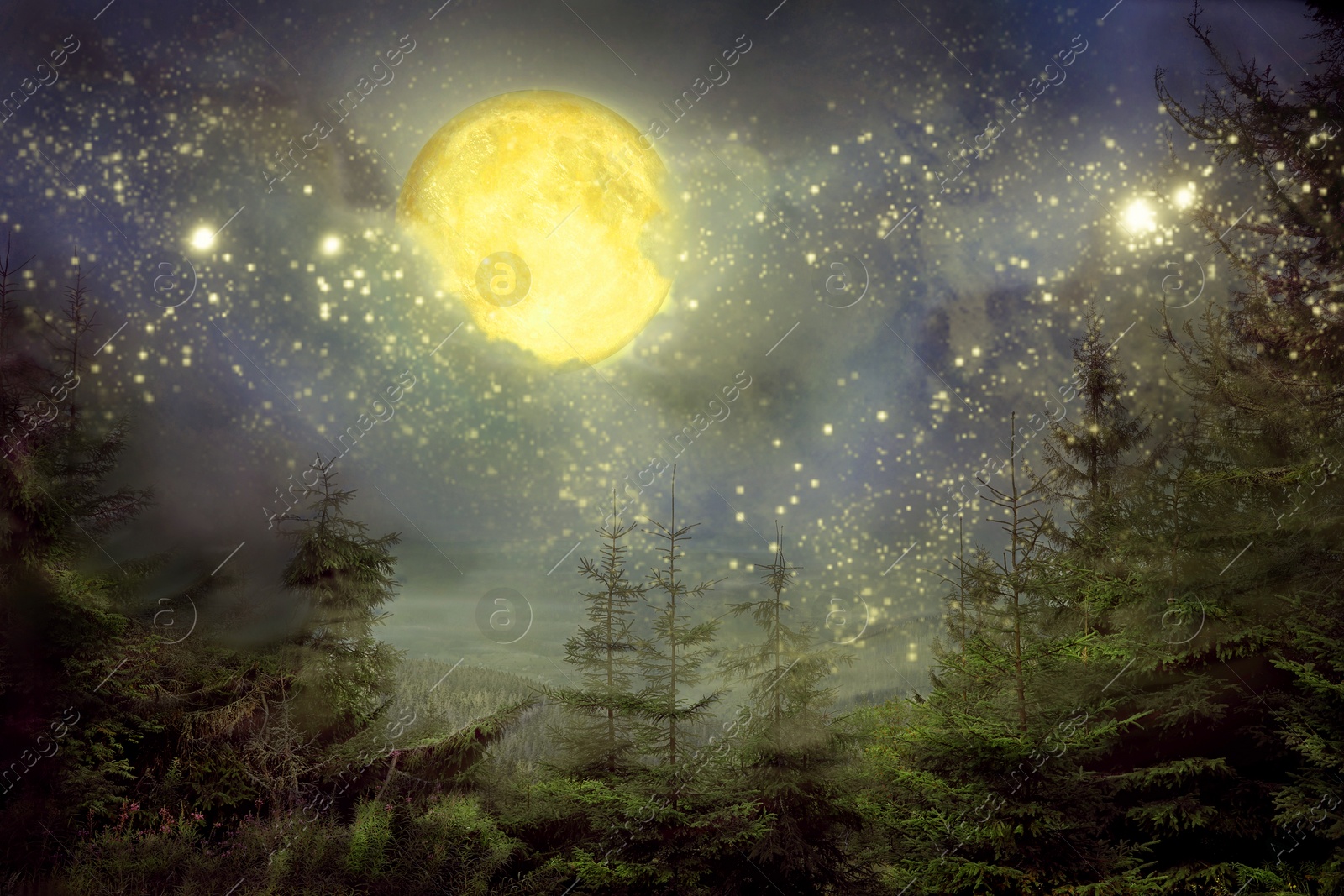 Image of Beautiful full moon in starry sky over forest at night