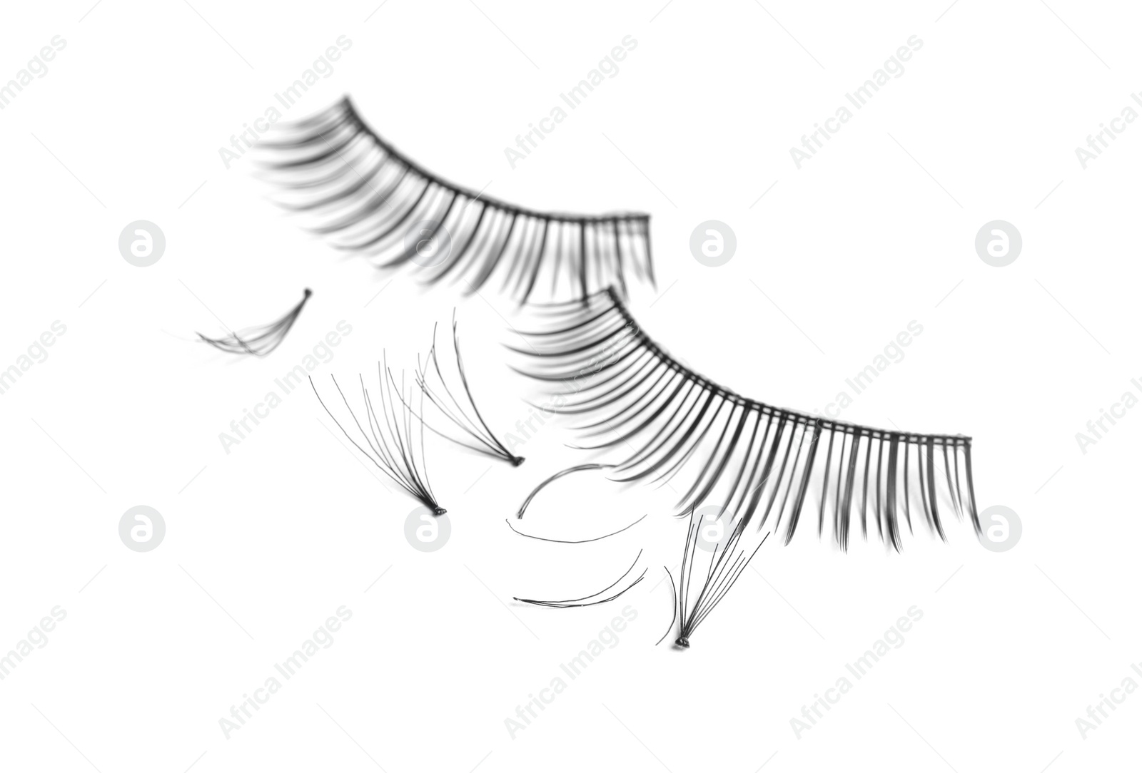 Photo of Different types of false eyelashes on white background