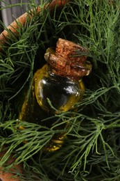 Photo of Bottle of essential oil and fresh dill in bowl, top view