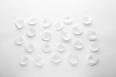 Photo of Beautiful rose flower petals on white background, top view