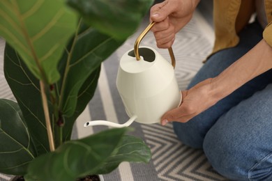 Woman watering beautiful potted houseplants, closeup view