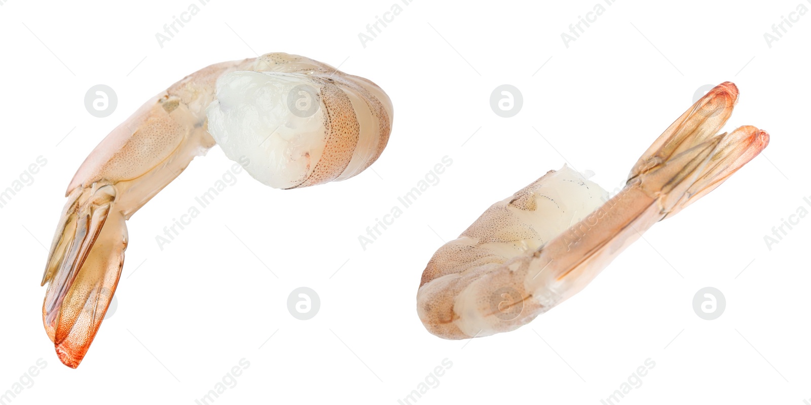 Image of Fresh raw headless shrimps isolated on white