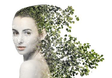 Image of Double exposure of beautiful woman and tree on white background