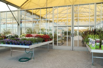 Photo of Many different potted plants near garden center