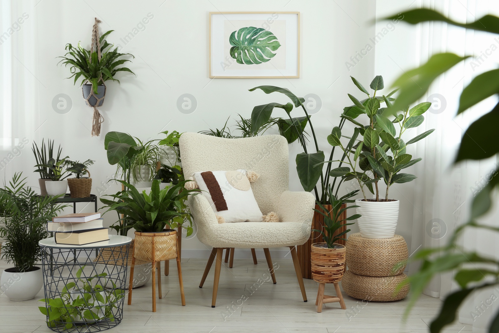 Photo of Stylish room with comfortable armchair and beautiful houseplants. Interior design