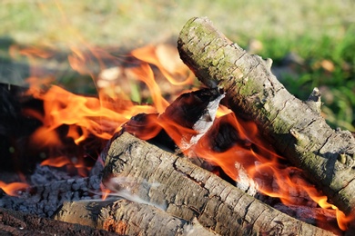 Burning firewood outdoors on sunny day, closeup