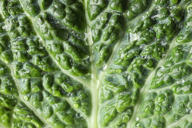 Photo of Green leaf of fresh savoy cabbage as background, closeup
