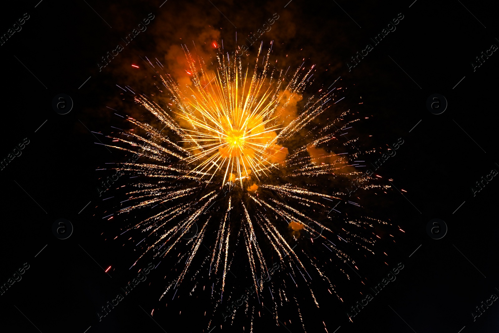 Photo of Beautiful bright firework lighting up night sky