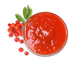 Delicious rowan jam in bowl and berries on white background, top view