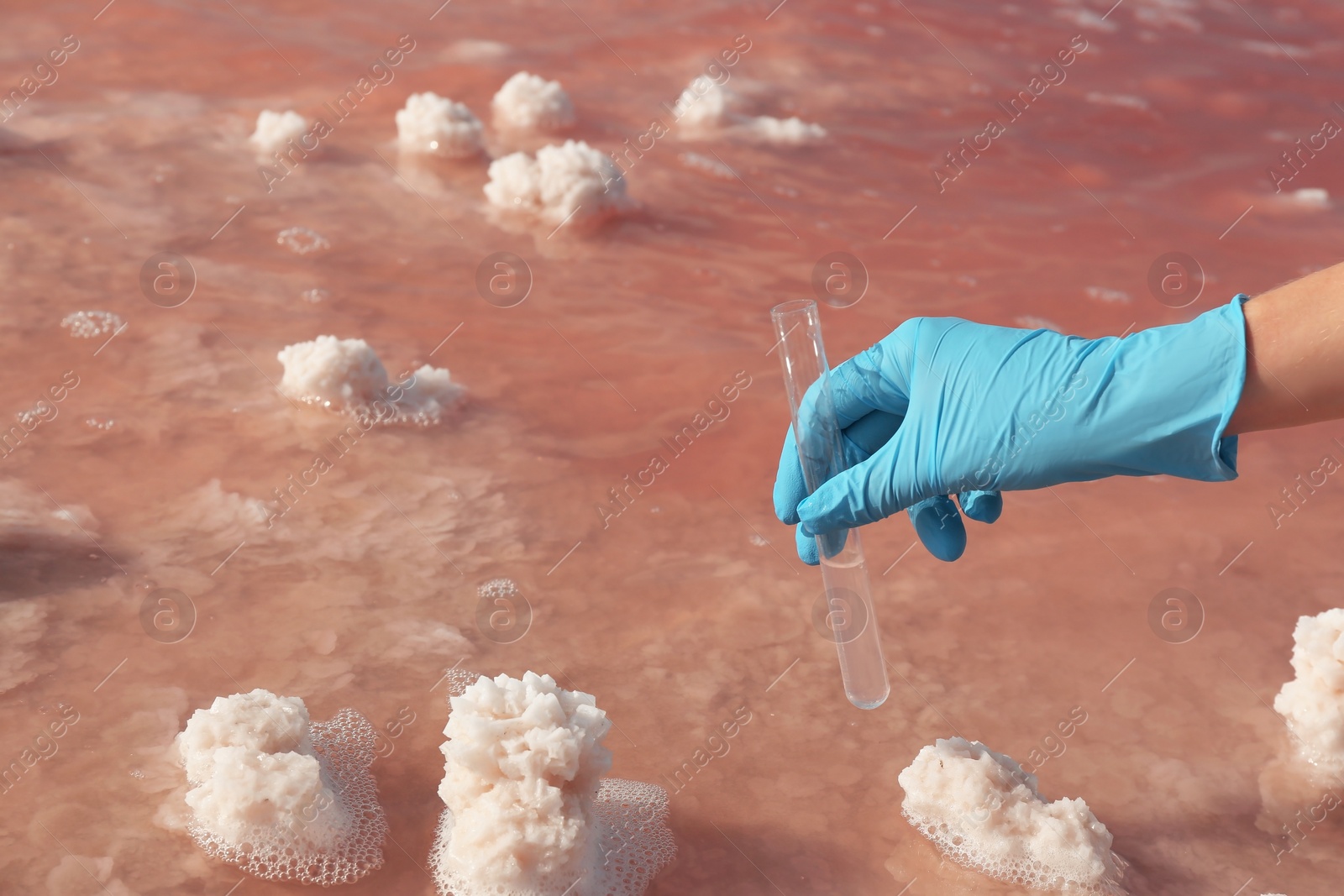 Photo of Laboratory worker with test tube taking sample from pink lake for analysis, closeup