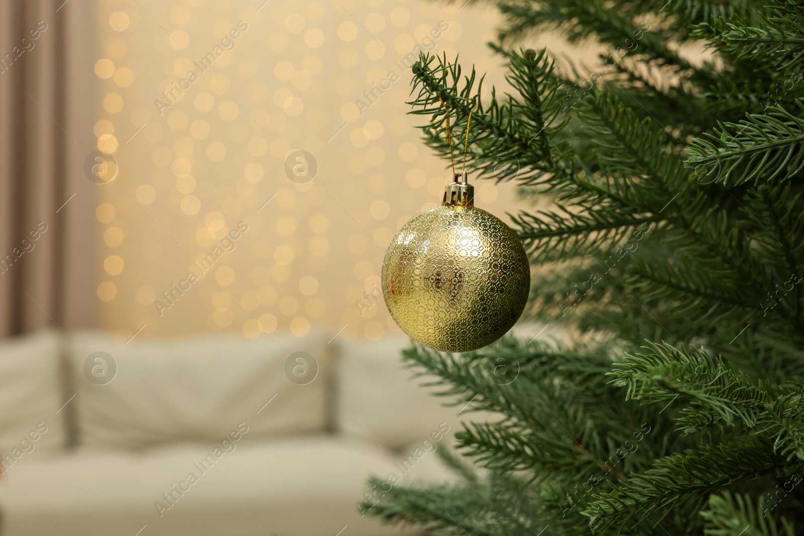 Photo of Golden bauble hanging on Christmas tree indoors. Space for text