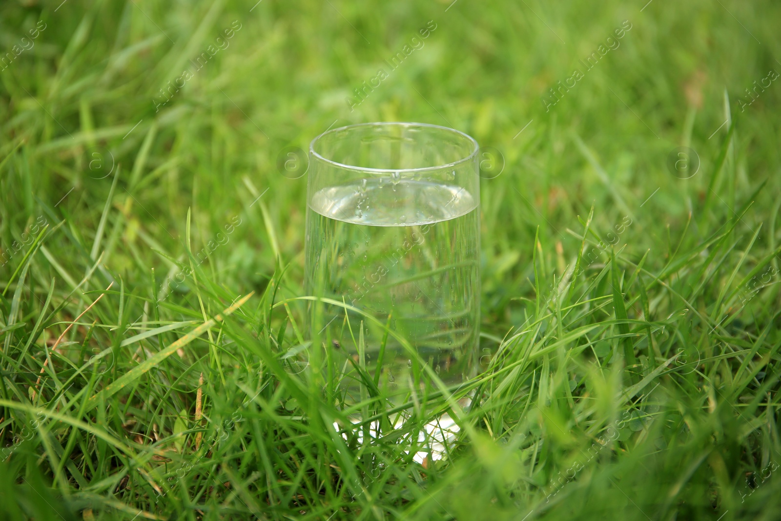 Photo of Glass of fresh water on green grass outdoors