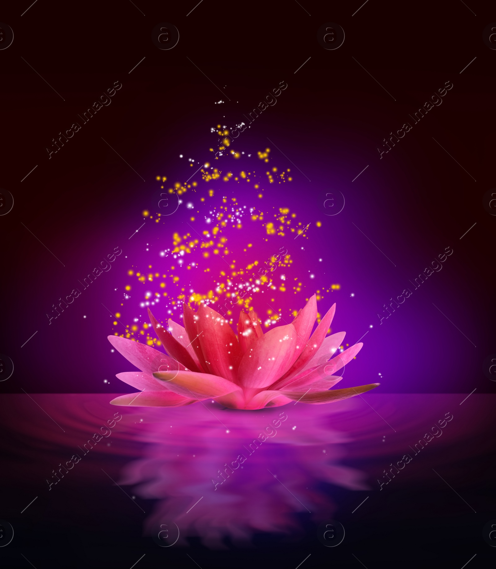 Image of Fantastic lotus flower with sparks on water surface