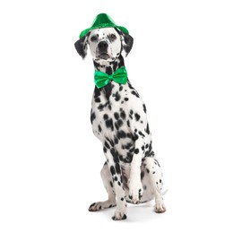 St. Patrick's day celebration. Cute Dalmatian dog with green hat and bow tie isolated on white