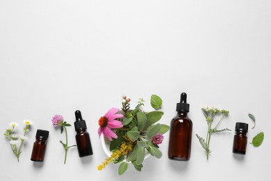 Photo of Bottles of essential oils, different herbs and flowers on white background, flat lay. Space for text