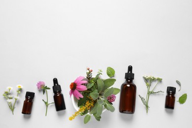 Bottles of essential oils, different herbs and flowers on white background, flat lay. Space for text