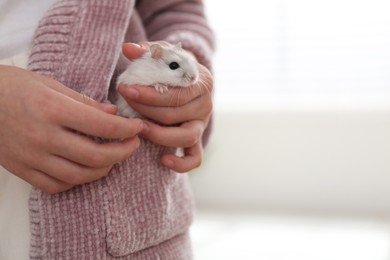 Photo of Little girl putting cute hamster into pocket at home, closeup. Space for text