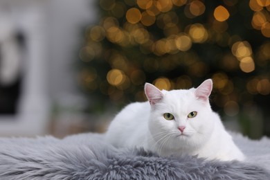 Christmas atmosphere. Cute cat lying on fur rug in cosy room. Space for text