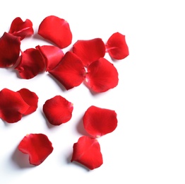 Red rose petals on white background, top view