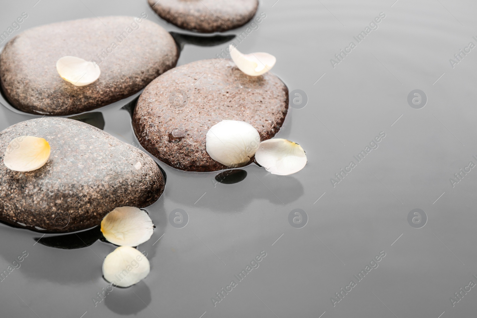 Photo of Stones and flower petals in water. Zen lifestyle