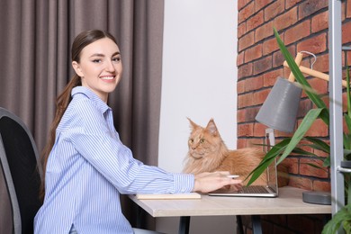 Woman with beautiful cat working at desk. Home office