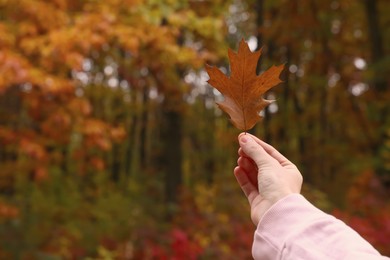 Woman holding beautiful leaf outdoors on autumn day, closeup. Space for text