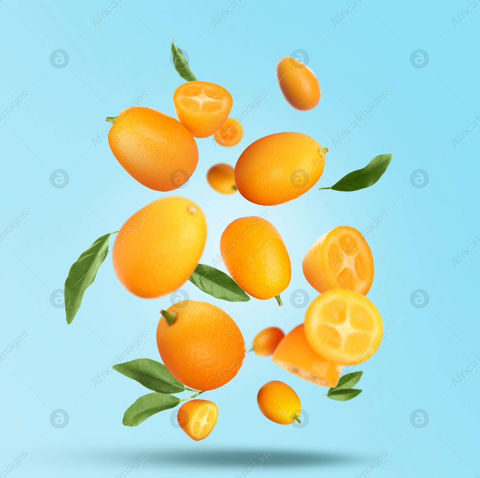 Image of Delicious fresh kumquats and green leaves falling on turquoise background