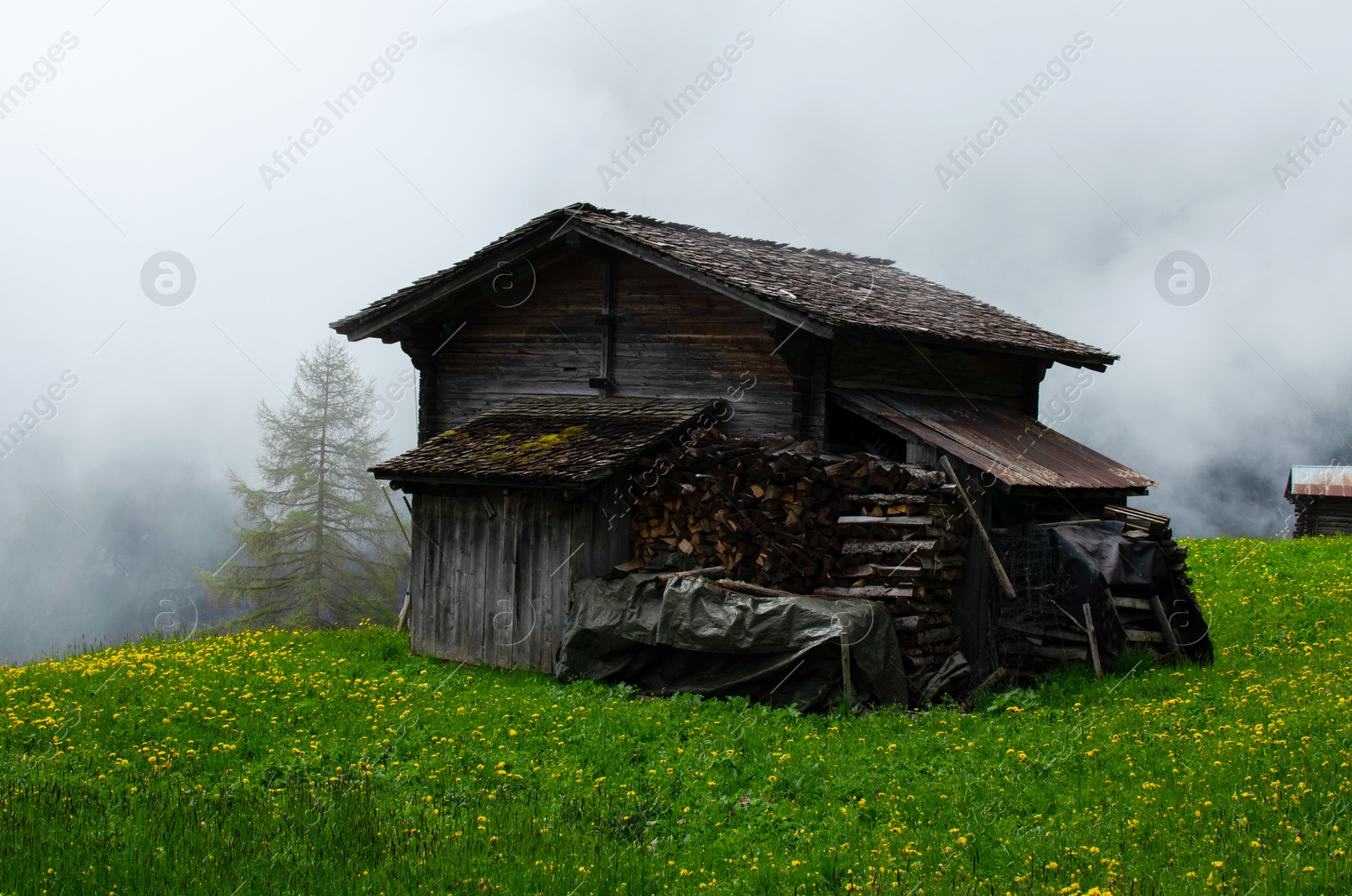 Photo of View of old wooden house on green hill