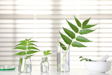 Laboratory glassware with plants on white table