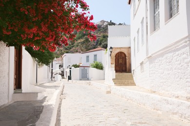 City street with white building and beautiful blooming tree on sunny day