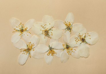 Photo of Pressed dried flowers on beige background, flat lay. Beautiful herbarium