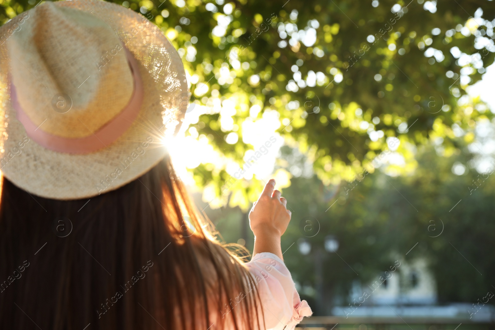 Photo of Young woman in hat outdoors on sunny day, back view