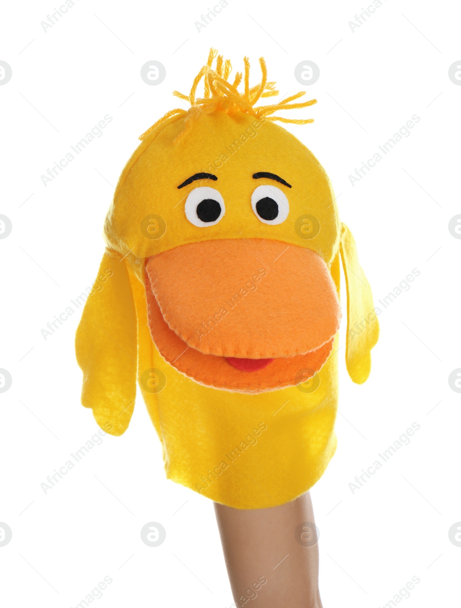 Photo of Duck puppet for show on hand against white background