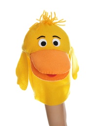 Duck puppet for show on hand against white background