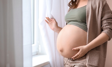 Photo of Young pregnant woman near window at home