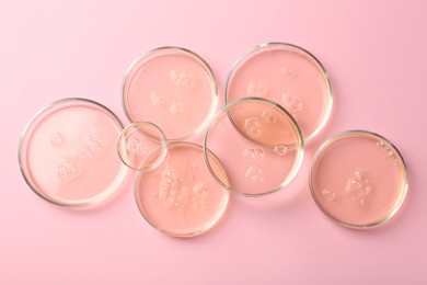 Photo of Petri dishes with liquid samples on pink background, flat lay