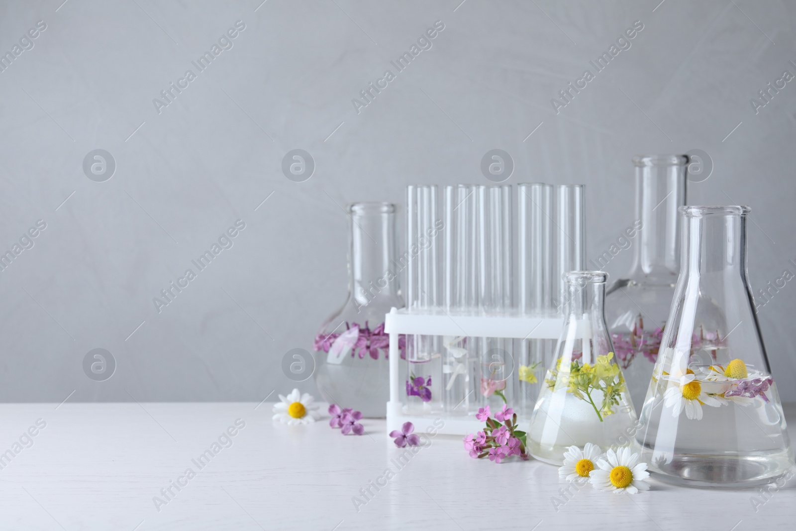 Photo of Laboratory glassware with flowers on white wooden table. Extracting essential oil for perfumery and cosmetics