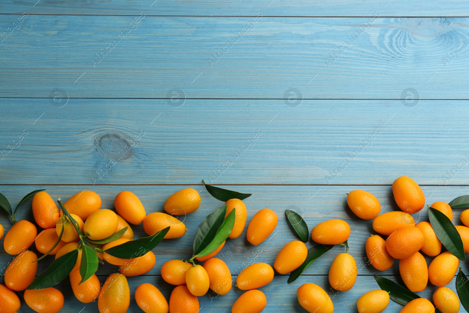 Photo of Fresh ripe kumquats on light blue wooden table, flat lay. Space for text